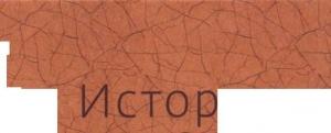 Обложка книги «История Мексиканской революции. Том 2. Выбор пути 1917-1928 гг» — Николай Николаевич Платошкин
