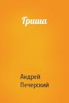 Андрей Печерский - Гриша