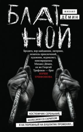 Обложка книги «Блатной» — Михаил Дёмин
