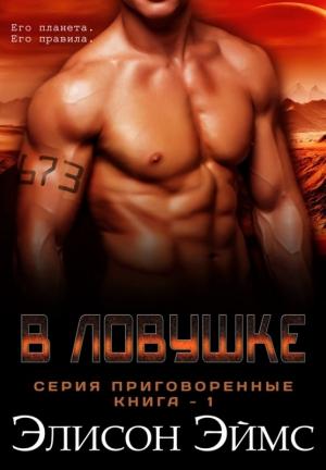 Обложка книги «В ловушке» — Элисон Эймс