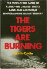 Мартин Кэйдин - «Тигры» горят! Разгром танковой элиты Гитлера