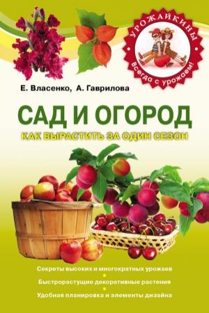 Обложка книги «Сад и огород. Как вырастить за один сезон» — Елена Власенко, Анна Гаврилова