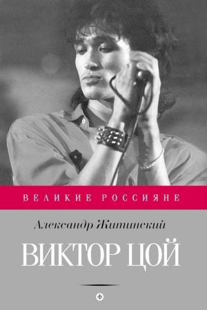 Обложка книги «Виктор Цой» — Александр Житинский