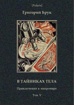Обложка книги «В тайниках тела (Приключения в микромире. Том VI)» — Григорий Брук