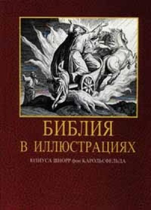 Обложка книги «Библия в иллюстрациях» — Библия