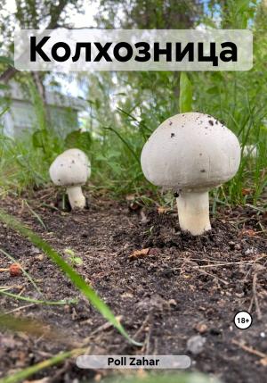 Обложка книги «Колхозница» — Zahar Poll