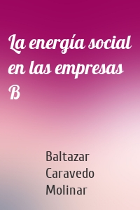 La energía social en las empresas B