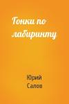 Юрий Салов - Гонки по лабиринту