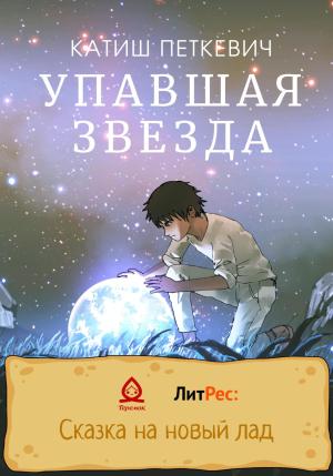 Обложка книги «Упавшая звезда» — Катиш Петкевич