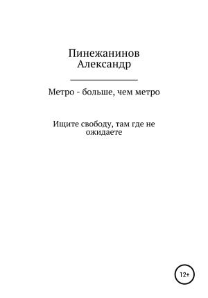 Обложка книги «Метро – больше, чем метро» — Александр Пинежанинов