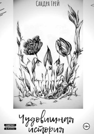 Обложка книги «Чудо-вищная история» — Сандра Грей