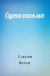 Сьюзен Зонтаг - Сцена письма