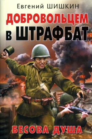 Обложка книги «Добровольцем в штрафбат. Бесова душа» — Евгений Шишкин