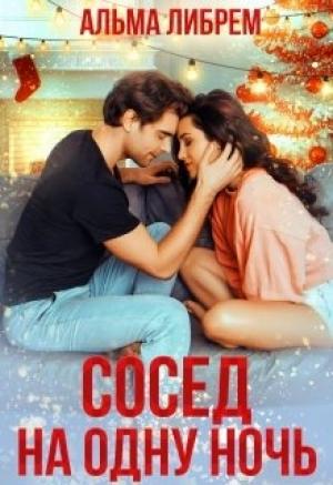 Обложка книги «Сосед на одну ночь» — Альма Либрем