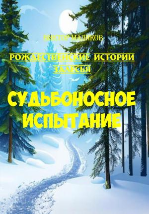 Обложка книги «Судьбоносное испытание» — Виктор Маликов