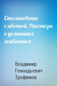 Столкновение с квочкой. Рассказы о домашних животных