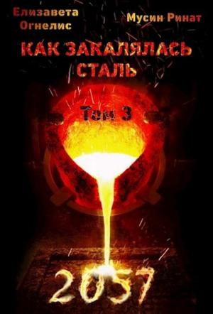Обложка книги «Как закалялась сталь - 2057. Том 3» — Елизавета Огнелис, Ринат Мусин