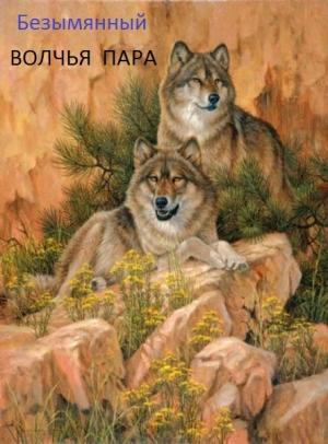 Обложка книги «Волчья пара» — Владимир Безымянный