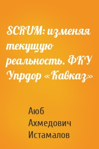 SCRUM: изменяя текущую реальность. ФКУ Упрдор «Кавказ»