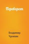 Владимир Чунихин - Переворот