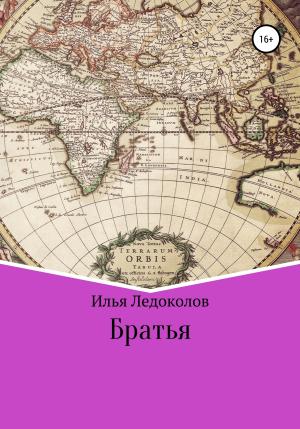 Обложка книги «Братья» — Илья Ледоколов