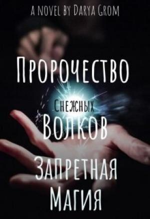 Обложка книги «Запретная магия (СИ)» — Дарья Гром