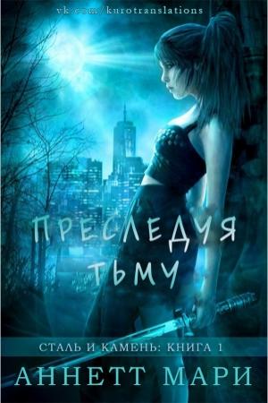 Обложка книги «Преследуя тьму» — Аннетт Мари