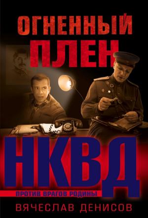 Обложка книги «Огненный плен» — Вячеслав Денисов