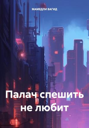 Обложка книги «Палач спешить не любит» — ВАГИД МАМЕДЛИ
