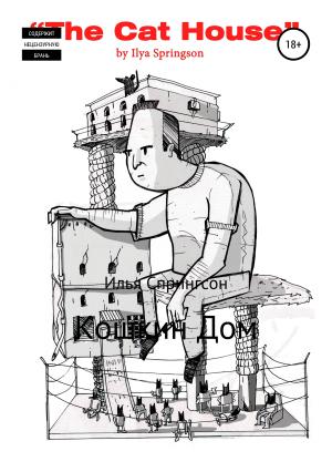 Обложка книги «Кошкин дом» — Илья Спрингсон