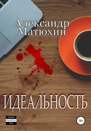Обложка книги «Идеальность» — Александр Матюхин