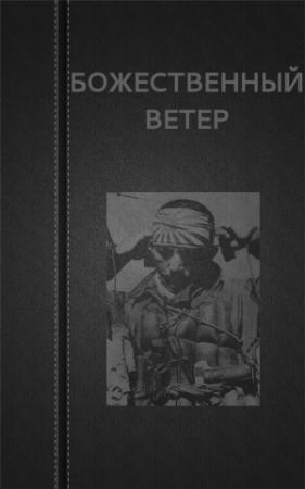 Обложка книги «Божественный ветер» — Вадим Астанин