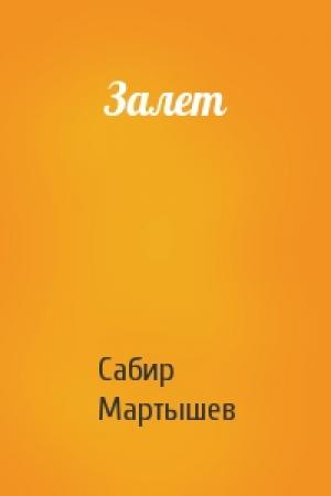 Обложка книги «Залет» — Сабир Мартышев