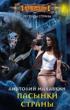 Обложка книги «Пасынки Страны» — Анатолий Махавкин