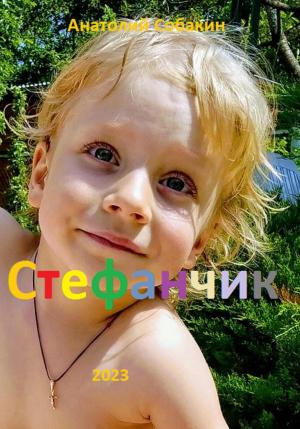 Обложка книги «Стефанчик» — Анатолий Собакин