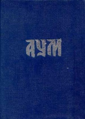 Обложка книги «Аум»
