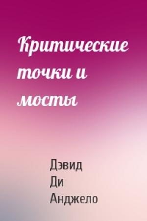 Обложка книги «Критические точки и мосты» — Дэвид Ди Анджело