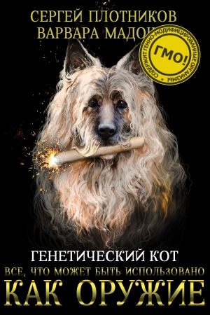 Обложка книги «Все, что может быть использовано как оружие» — Сергей Плотников, Варвара Мадоши