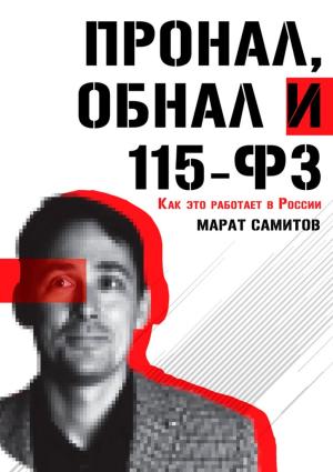 Обложка книги «ПроНал, обнал и 115-ФЗ» — Марат Самитов