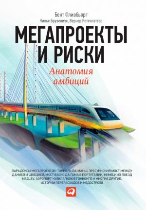 Обложка книги «Мегапроекты и риски. Анатомия амбиций» — Вернер Ротенгаттер, Нильс Брузелиус, Бент Фливбьорг
