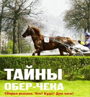 Обложка книги «Тайны обер-чека. Сборка рысака. Что? Куда? Для чего?» — Алла Полончук