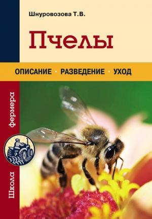 Обложка книги «Пчелы» — Татьяна Шнуровозова