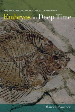 Обложка книги «Эмбрионы в глубинах времени» — Марсело Санчес