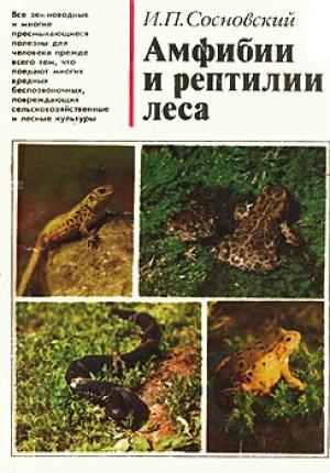 Обложка книги «Амфибии и рептилии леса» — Игорь Сосновский