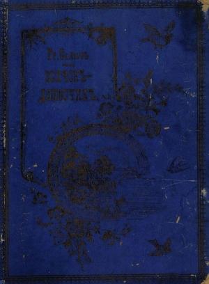 Обложка книги «Волчок-доносчик» — Евгений Салиас