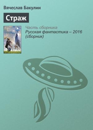 Обложка книги «Страж» — Вячеслав Бакулин