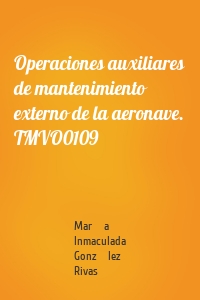 Operaciones auxiliares de mantenimiento externo de la aeronave. TMVO0109