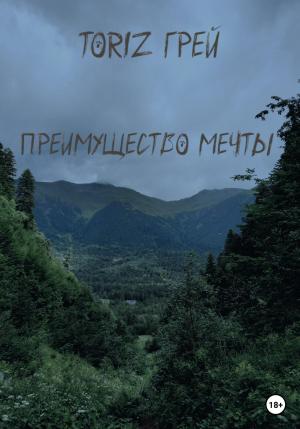 Обложка книги «Преимущество мечты» — ТориZ Грей