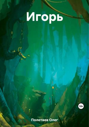 Обложка книги «Игорь» — Олег Полетаев