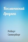 Роберт Силверберг - Космический бродяга